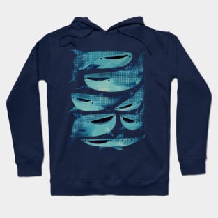 Happy Whale sharks! Hoodie